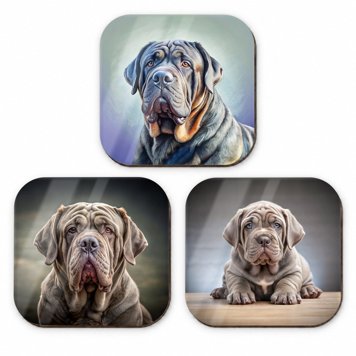 Neapolitan Mastiff Dog Photo Illustration Fridge Magnet Set