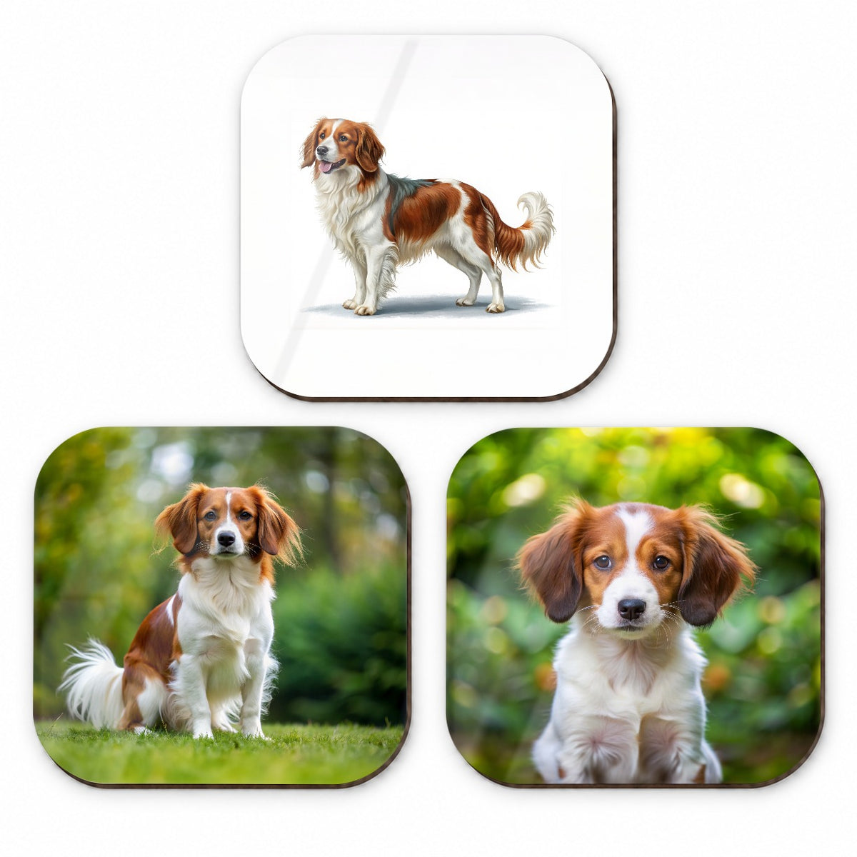 Nederlandse Kooikerhondje Dog Photo Illustration Fridge Magnet Set