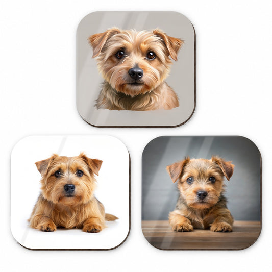Norfolk Terrier Dog Photo Illustration Fridge Magnet Set
