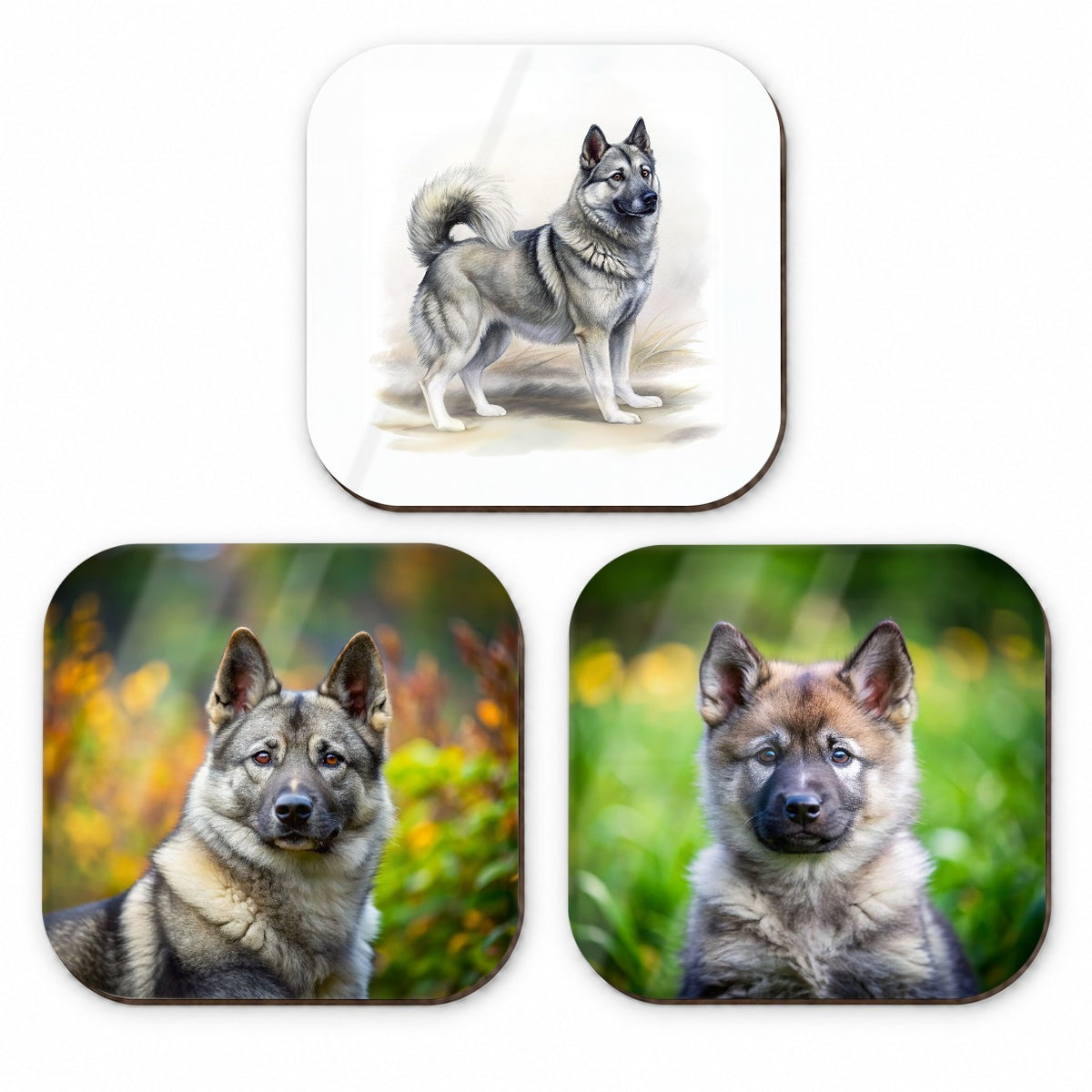 Norwegian Elkhound Dog Photo Illustration Fridge Magnet Set
