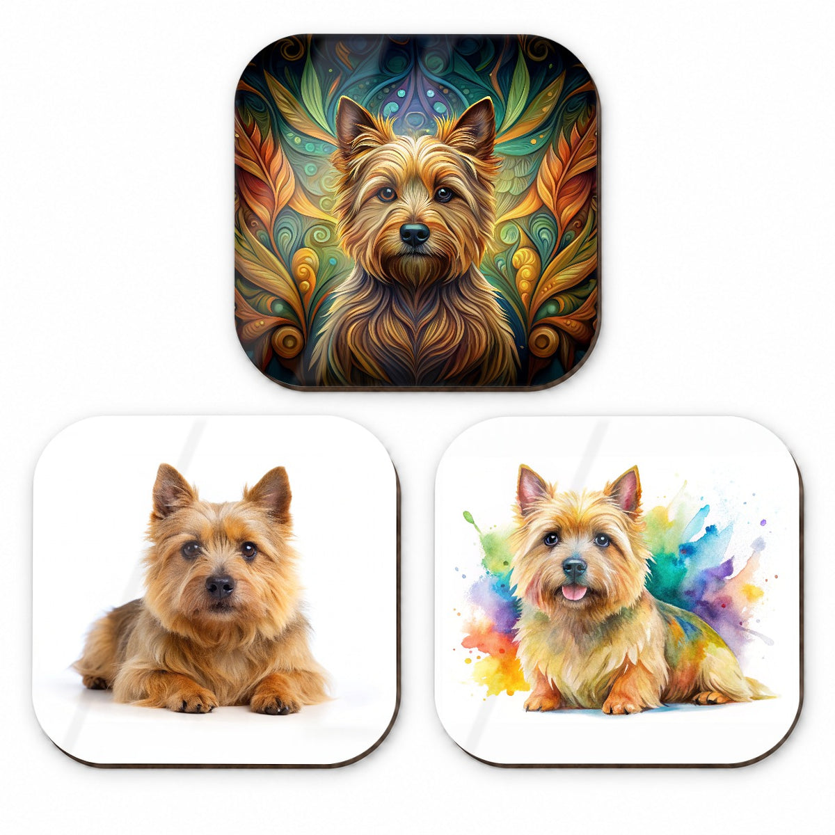 Norwich Terrier Dog Modern Photo Art Fridge Magnet Set