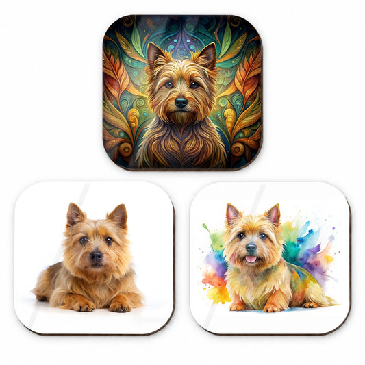 Norwich Terrier Dog Modern Photo Art Fridge Magnet Set
