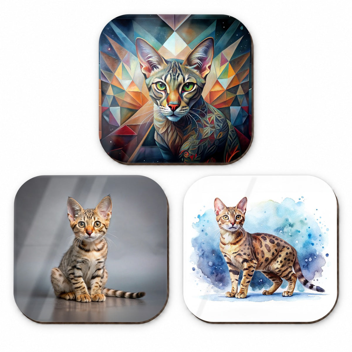 Ocicat Cat Modern Photo Art Fridge Magnet Set