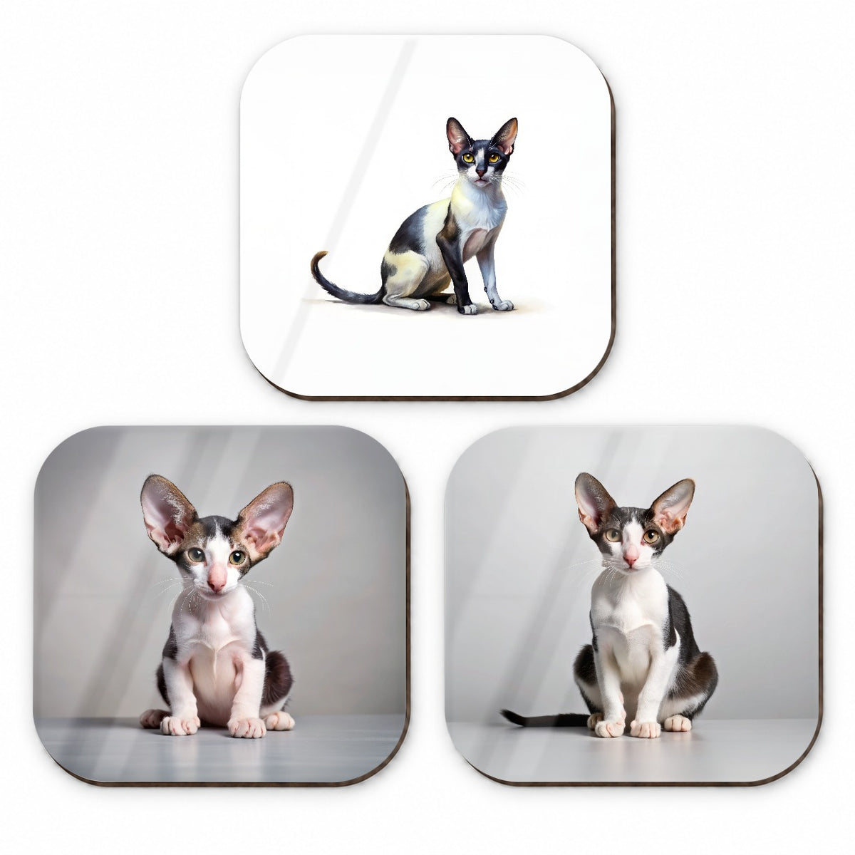 Oriental Shorthair Black White Cat Photo Illustration Fridge Magnet Set