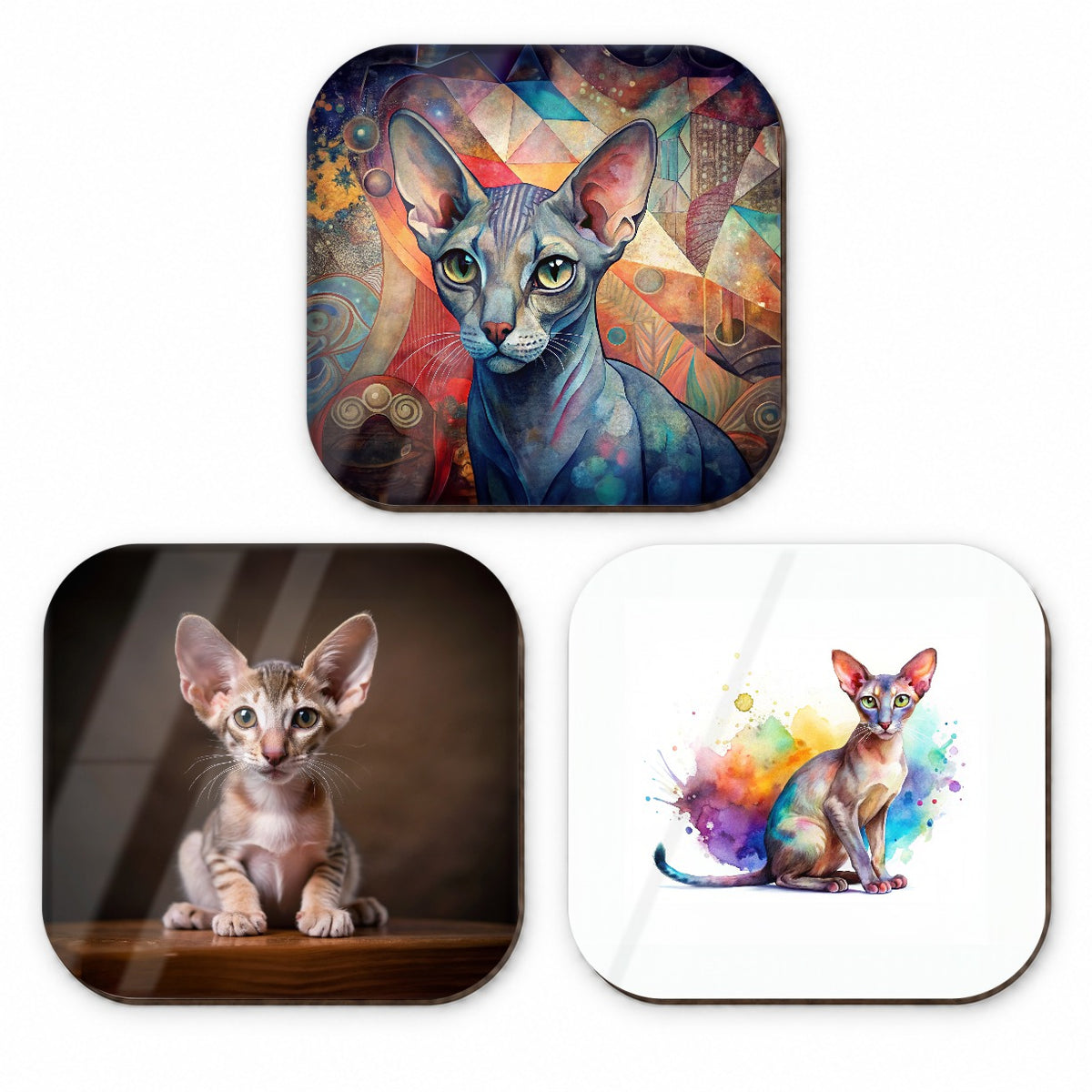 Oriental Shorthair Cat Modern Photo Art Fridge Magnet Set