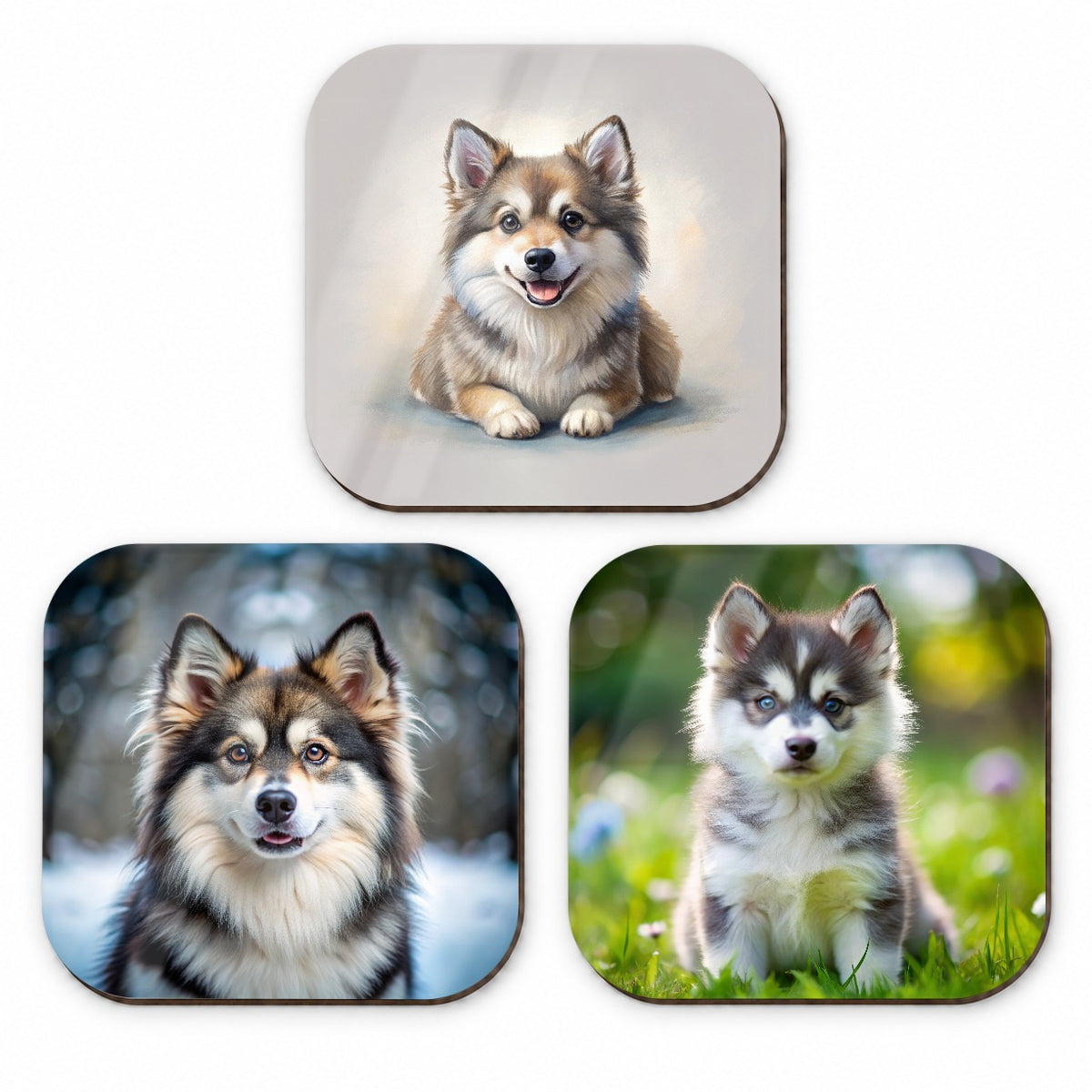Pomsky Dog Photo Illustration Fridge Magnet Set