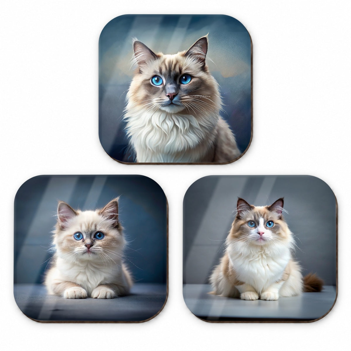 Ragdoll Cat Photo Illustration Fridge Magnet Set