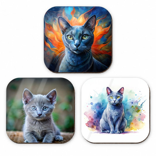 Russian Blue Cat Modern Photo Art Fridge Magnet Set