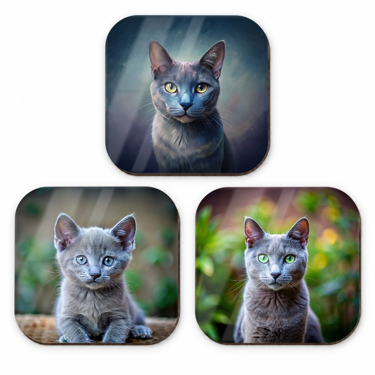 Russian Blue Cat Photo Illustration Fridge Magnet Set