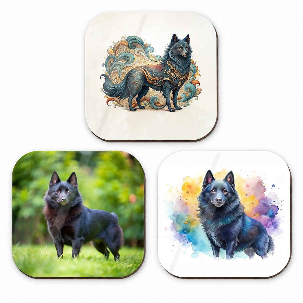 Schipperke Dog Modern Photo Art Fridge Magnet Set