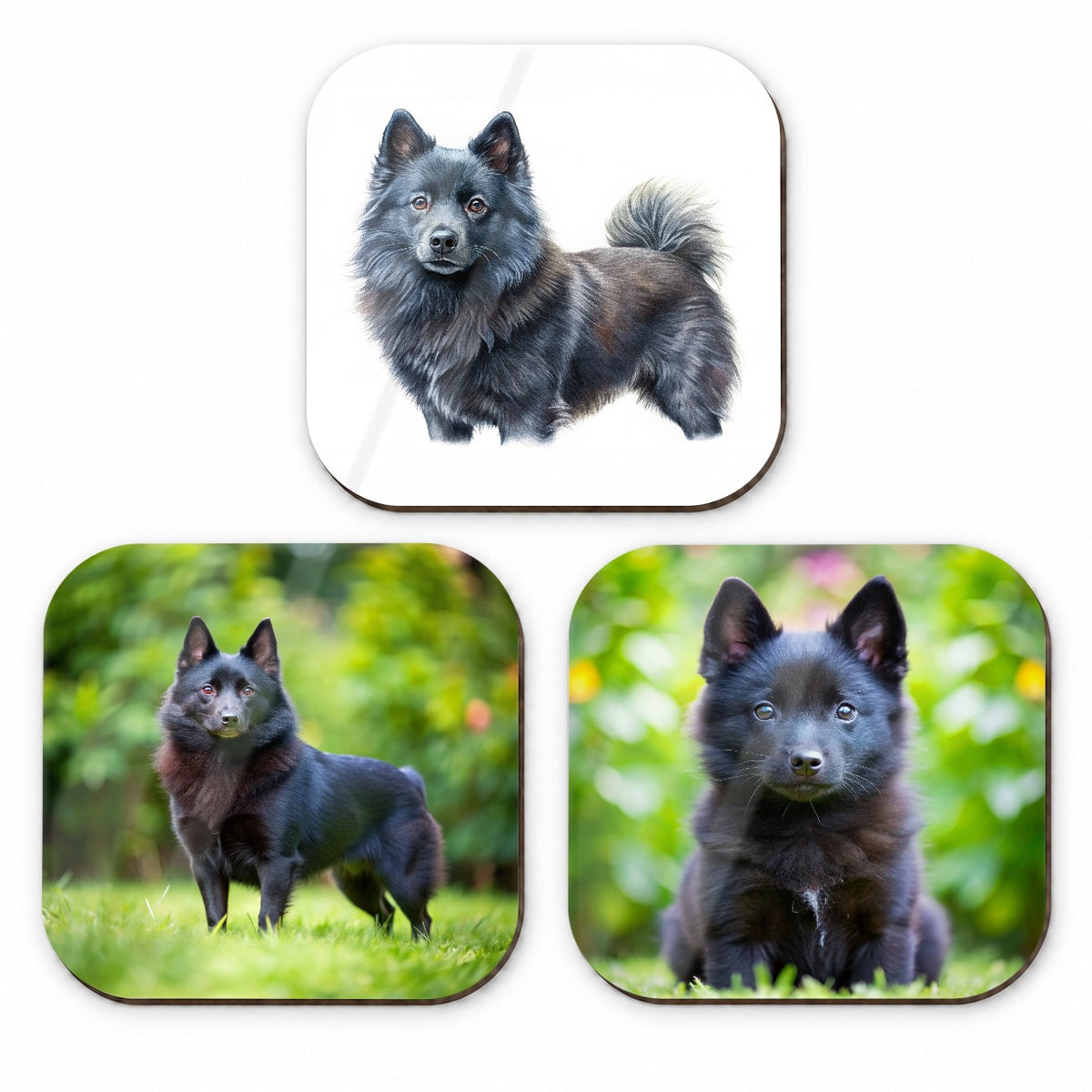 Schipperke Dog Photo Illustration Fridge Magnet Set
