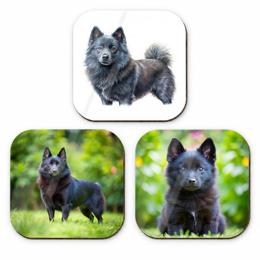 Schipperke Dog Photo Illustration Fridge Magnet Set