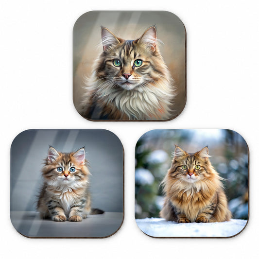 Siberian Cat Photo Illustration Fridge Magnet Set
