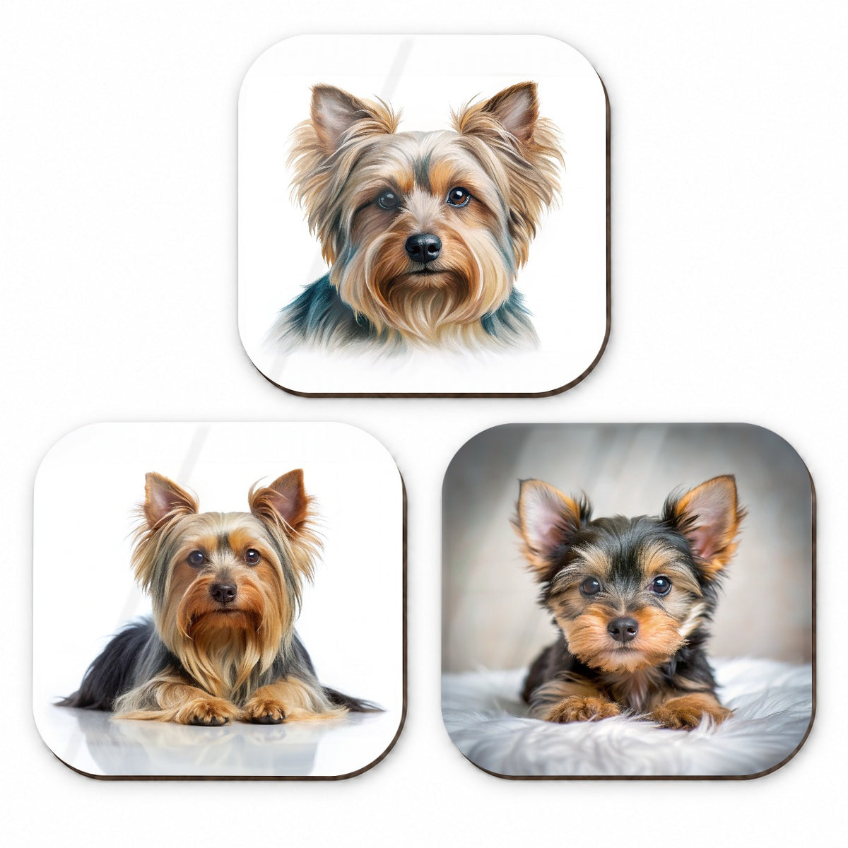 Silky Terrier Dog Photo Illustration Fridge Magnet Set