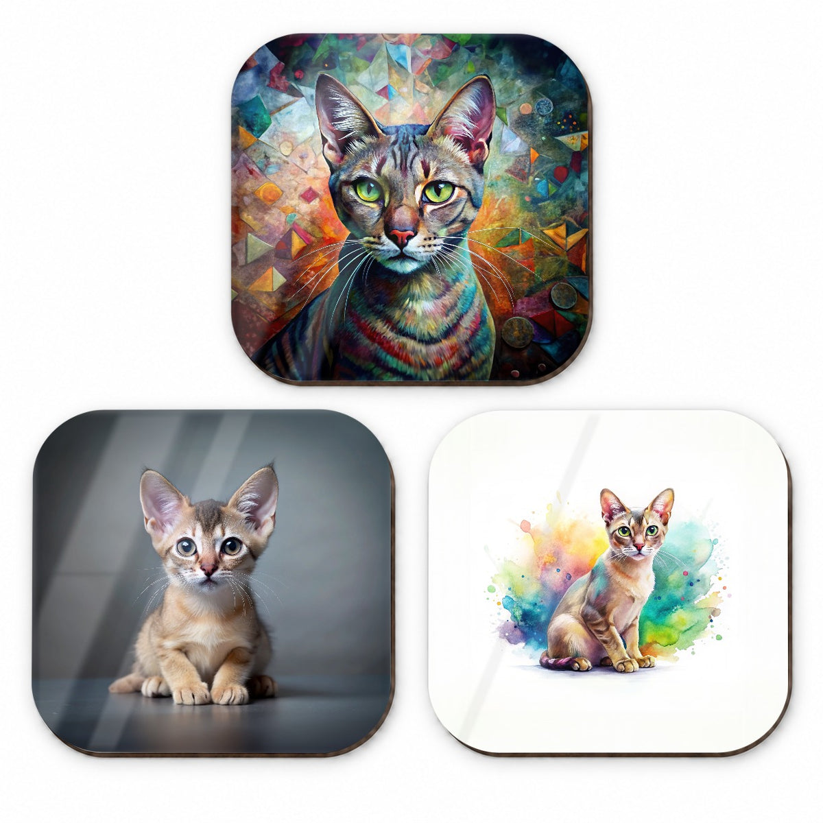 Singapura Cat Modern Photo Art Fridge Magnet Set