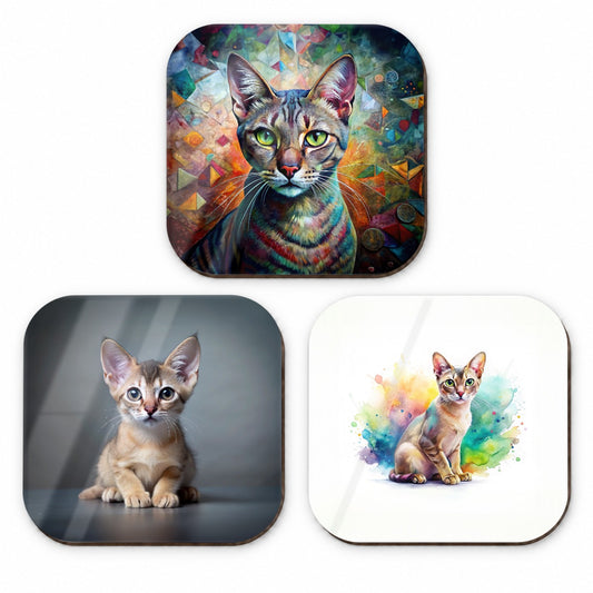 Singapura Cat Modern Photo Art Fridge Magnet Set