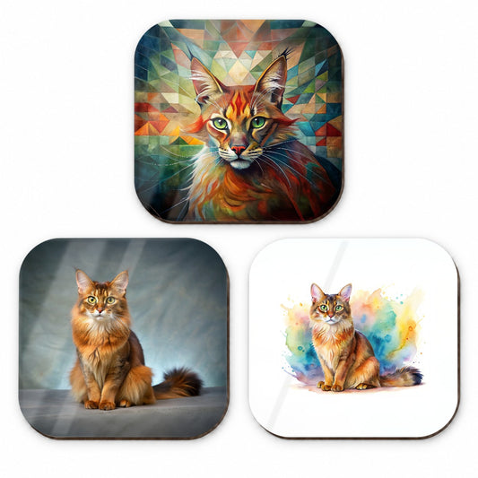 Somali Cat Modern Photo Art Fridge Magnet Set