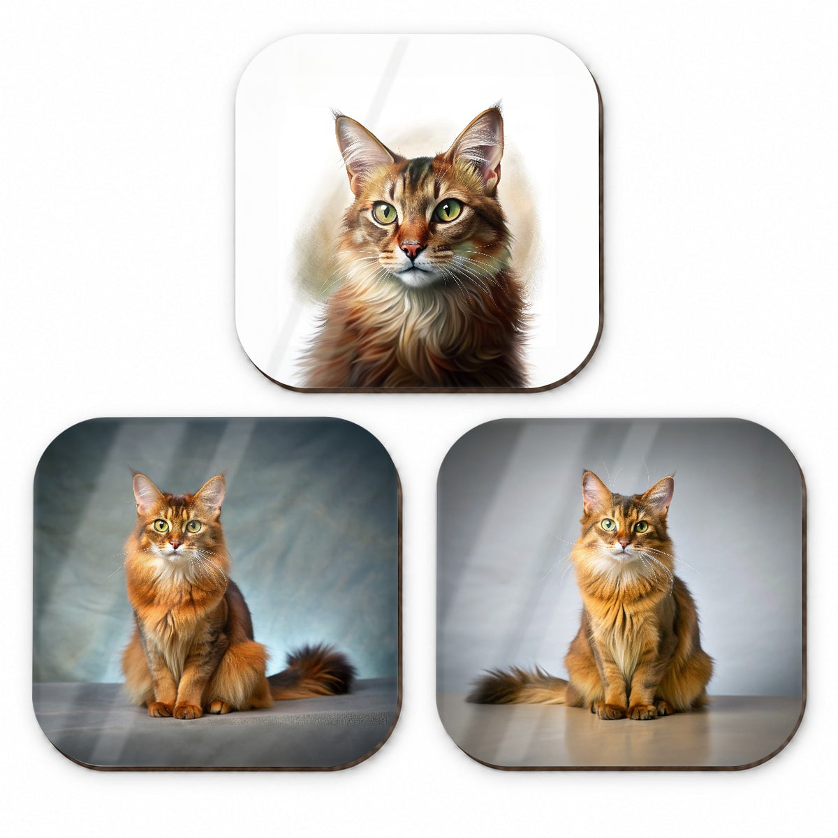 Somali Cat Photo Illustration Fridge Magnet Set