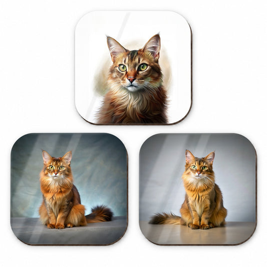Somali Cat Photo Illustration Fridge Magnet Set
