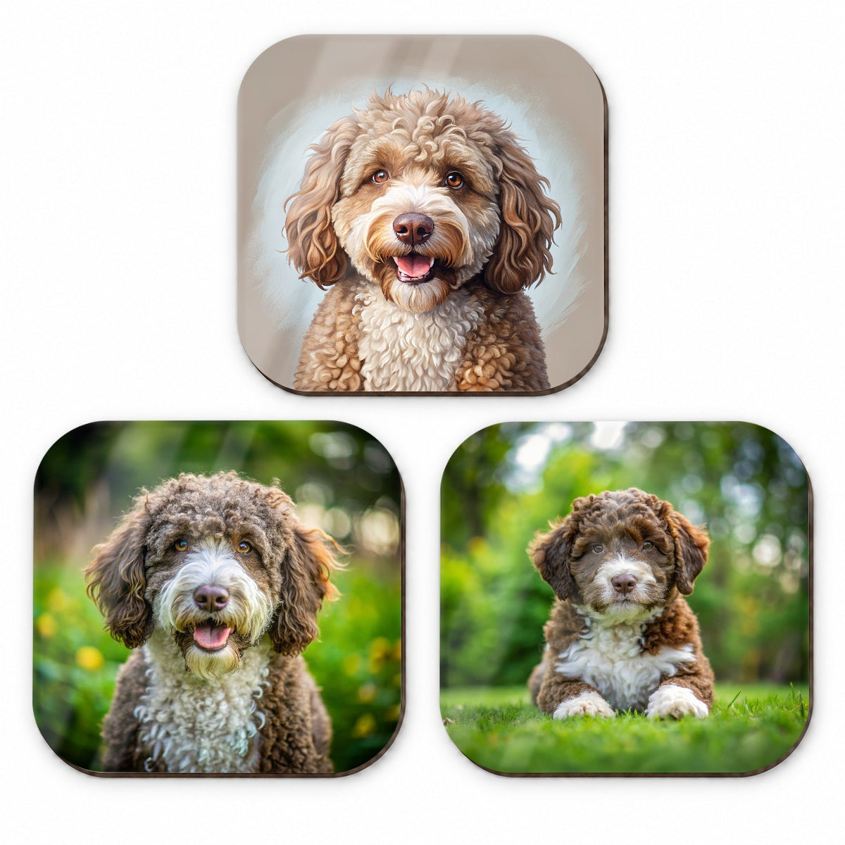 Spanish Water Dog Photo Illustration Fridge Magnet Set