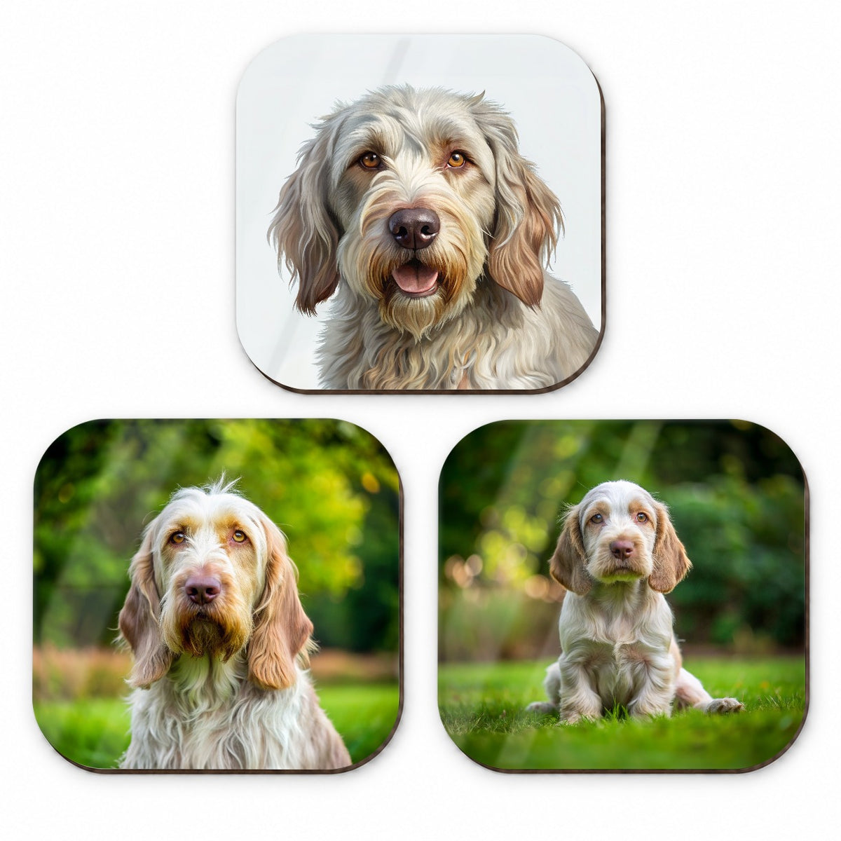 Spinone Italiano Dog Photo Illustration Fridge Magnet Set