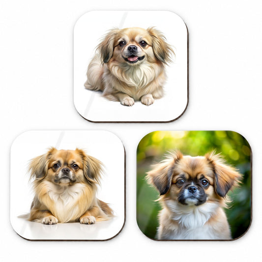 Tibetan Spaniel Dog Photo Illustration Fridge Magnet Set