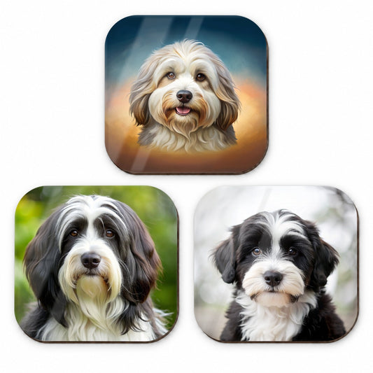 Tibetan Terrier Dog Photo Illustration Fridge Magnet Set