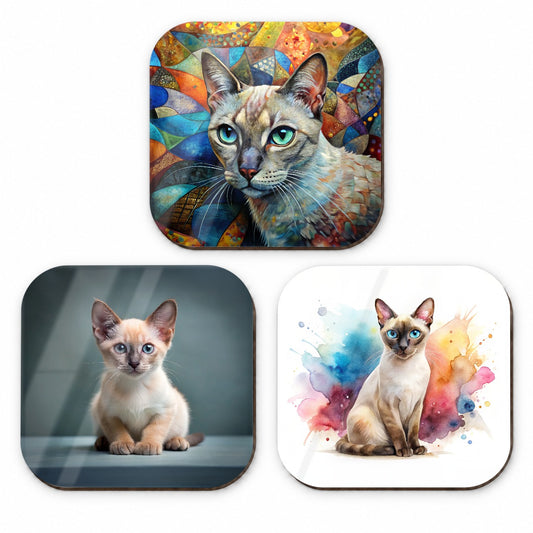 Tonkinese Cat Modern Photo Art Fridge Magnet Set