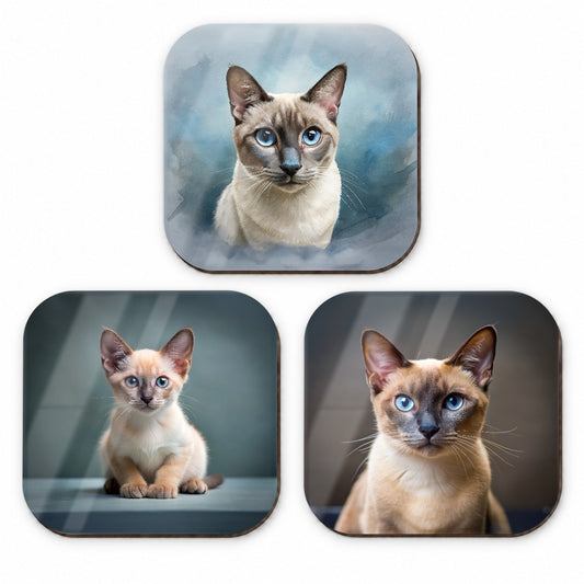 Tonkinese Cat Photo Illustration Fridge Magnet Set