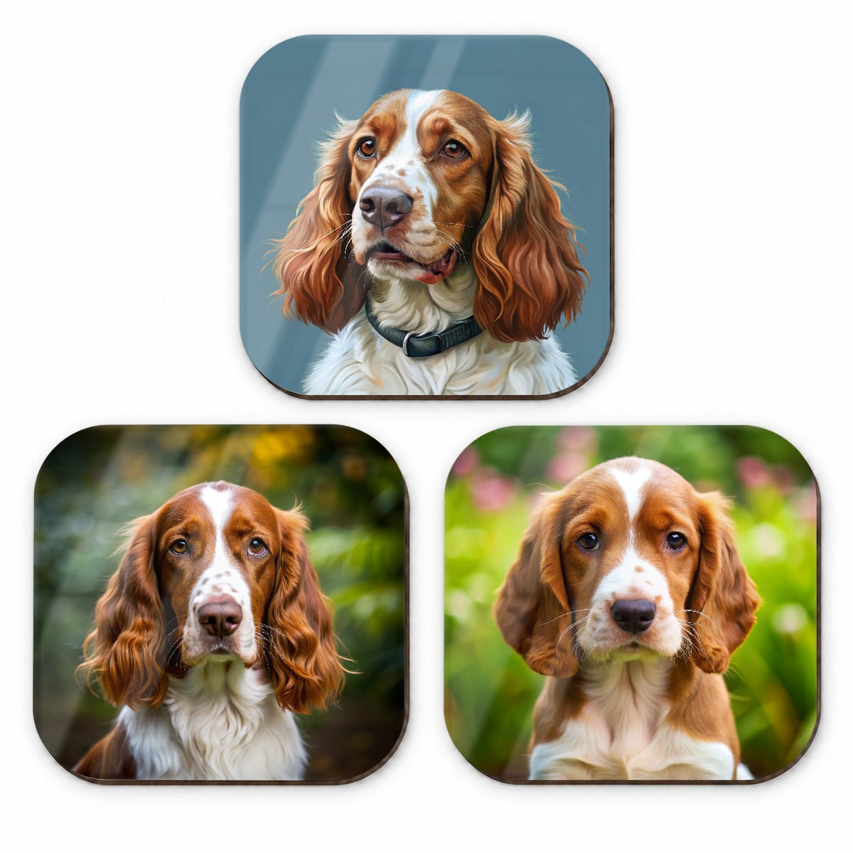 Welsh Springer Spaniel Dog Photo Illustration Fridge Magnet Set