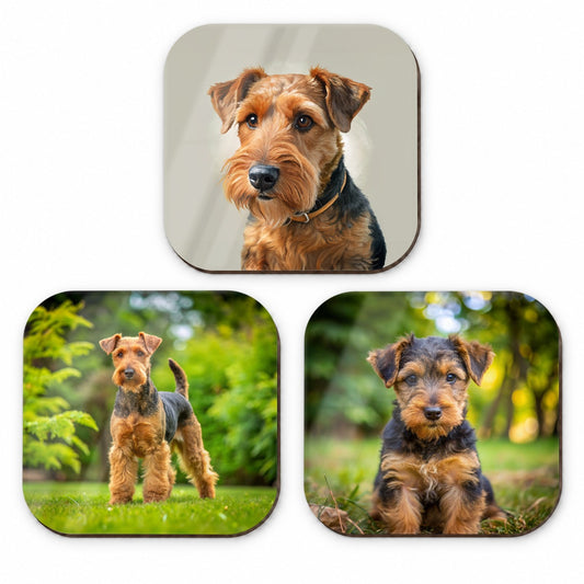Welsh Terrier Dog Photo Illustration Fridge Magnet Set