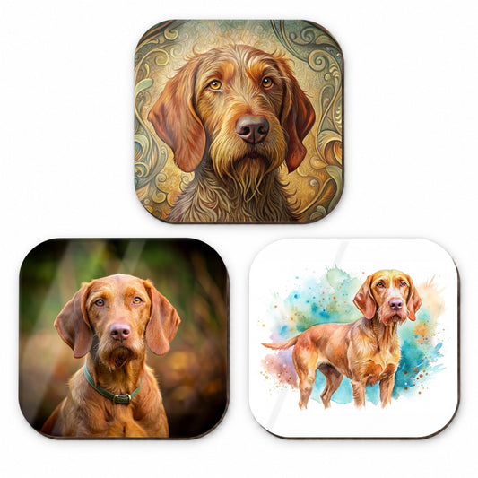 Wirehaired Vizsla Dog Modern Photo Art Fridge Magnet Set