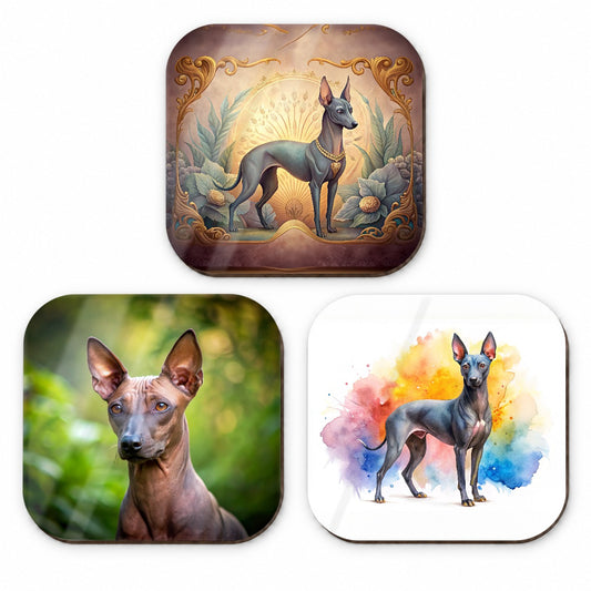 Xoloitzcuintli Xolo Mexican Hairless Dog Modern Photo Art Fridge Magnet Set