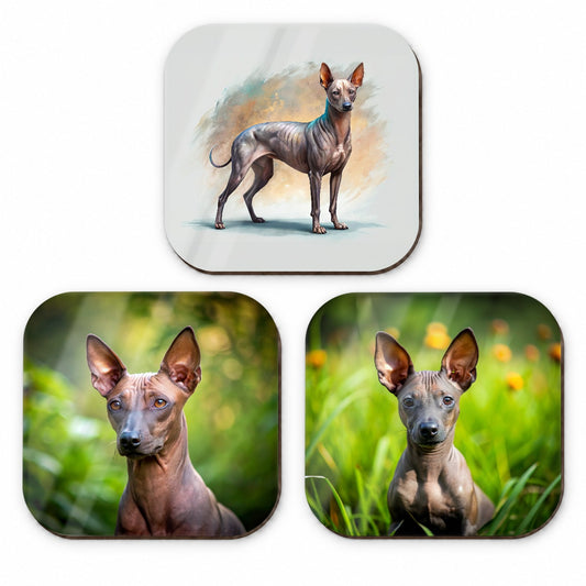 Xoloitzcuintli Xolo Mexican Hairless Dog Photo Illustration Fridge Magnet Set