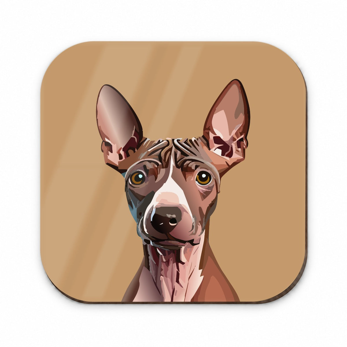 American Hairless Terrier Staring Fridge Magnet