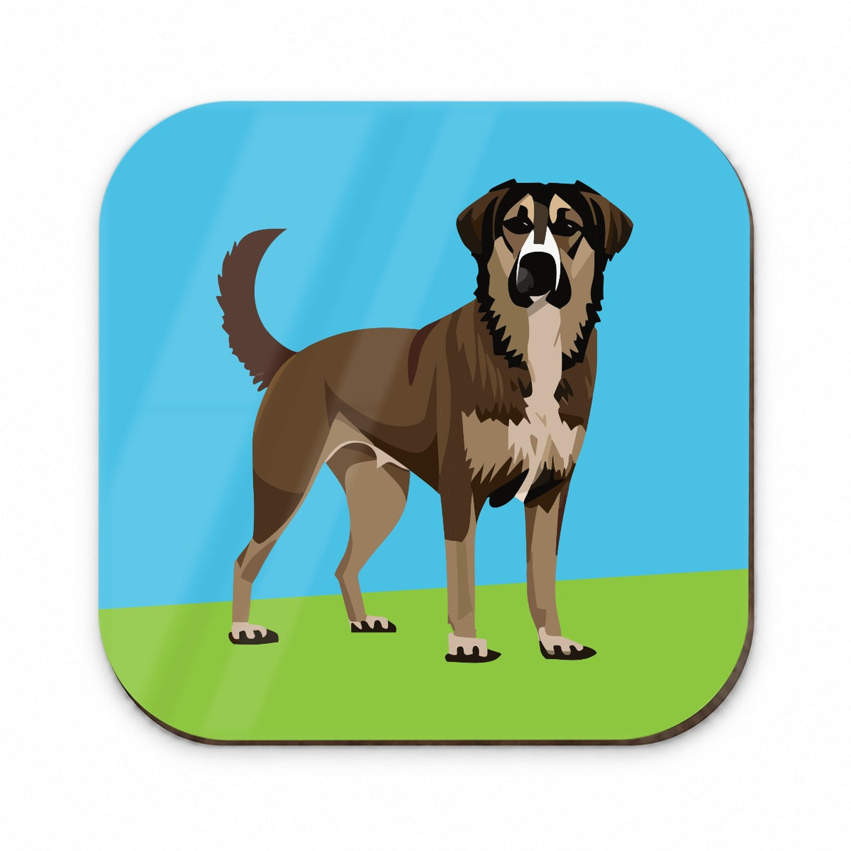 Anatolian Shepherd Dog Standing Fridge Magnet