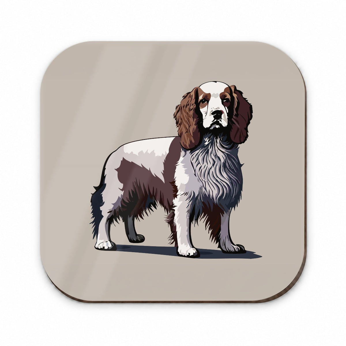 Brittany Spaniel Dog Standing Fridge Magnet