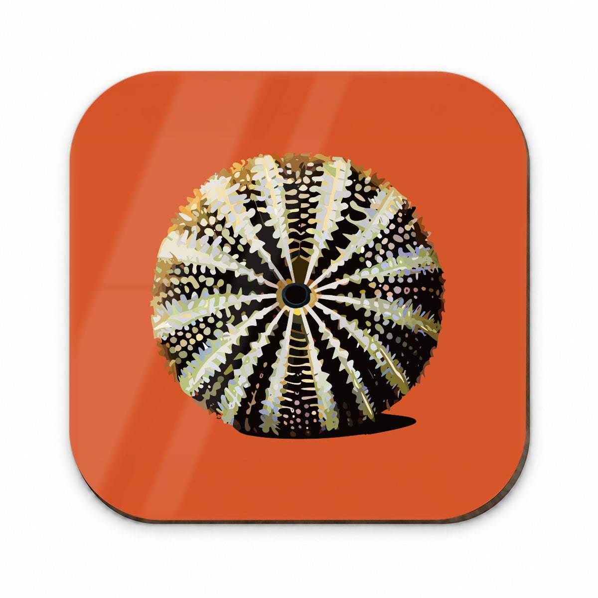 Sea Urchin Ocean Animal Echinoderm Fridge Magnet