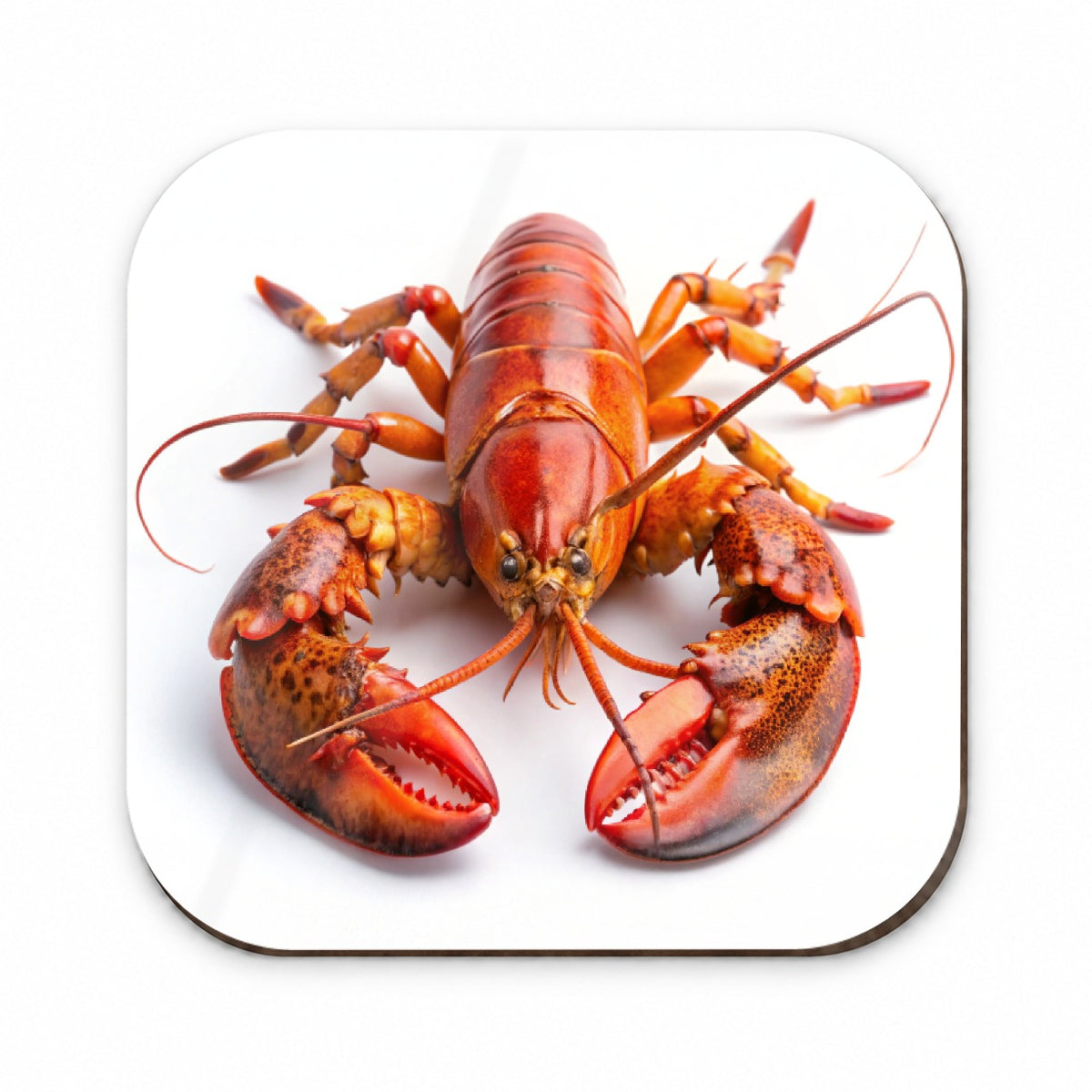New England Lobster On White Background Fridge Magnet