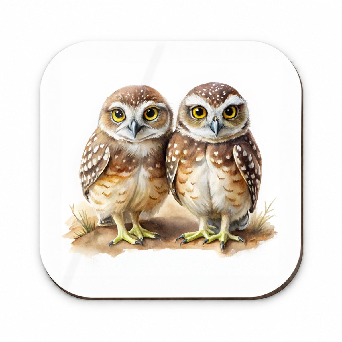 Pair Of Burrowing Owls Bird Watercolor Fridge Magnet