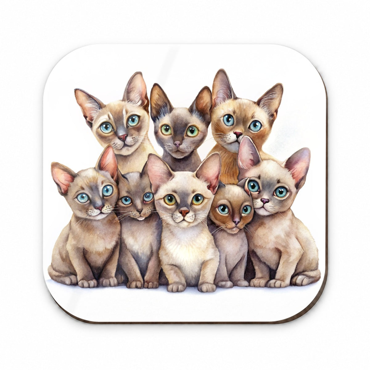 Sweet Burmese Cats Fridge Magnet
