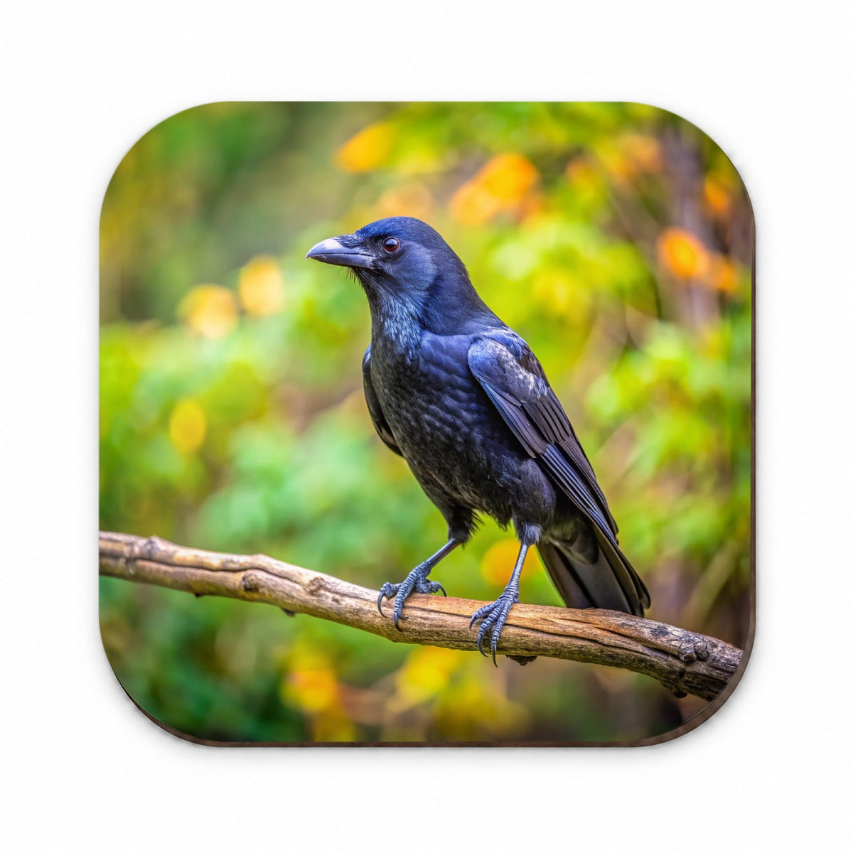 American Black Crow Backyard Bird Fridge Magnet