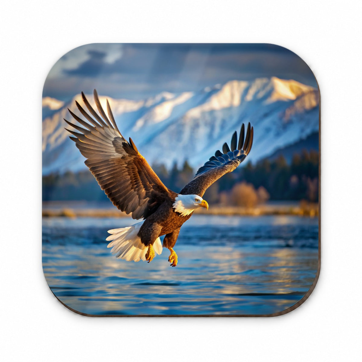 Bald Eagle Flying Raptor Bird Of Prey Fridge Magnet