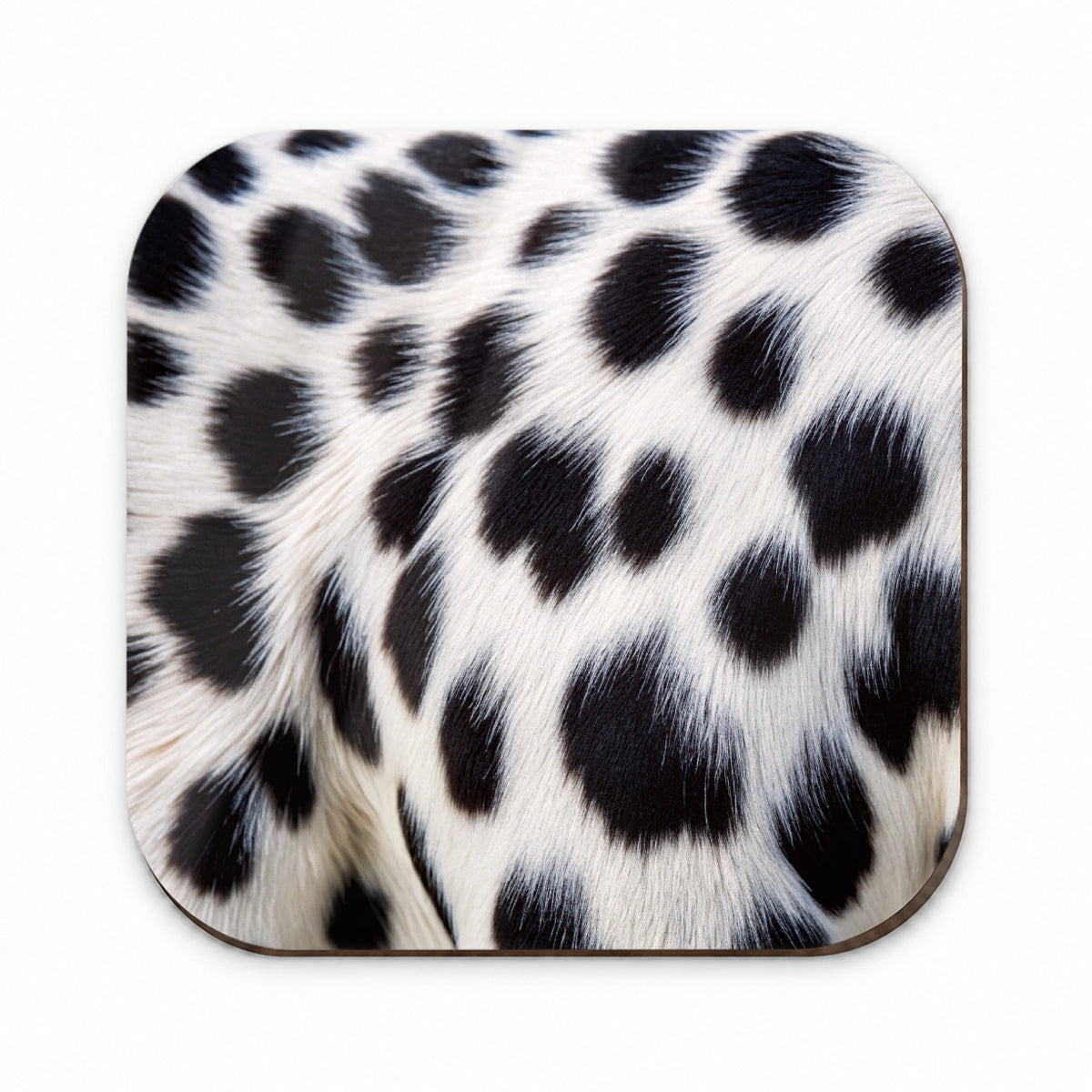 Dalmatian Dog Fur Spotted Pattern Fridge Magnet