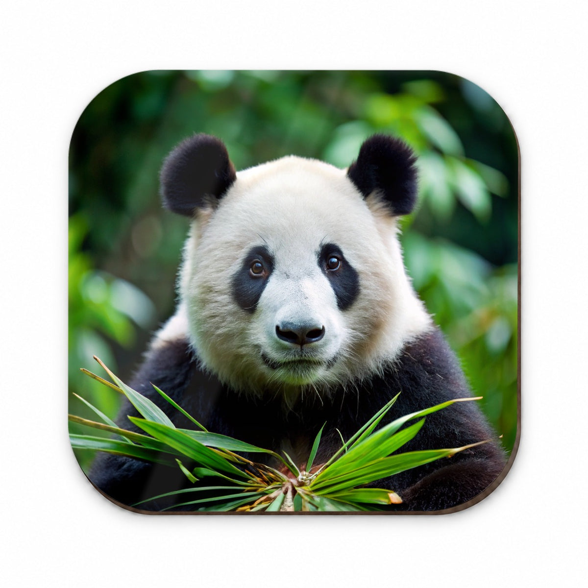 Giant Panda Fridge Magnet