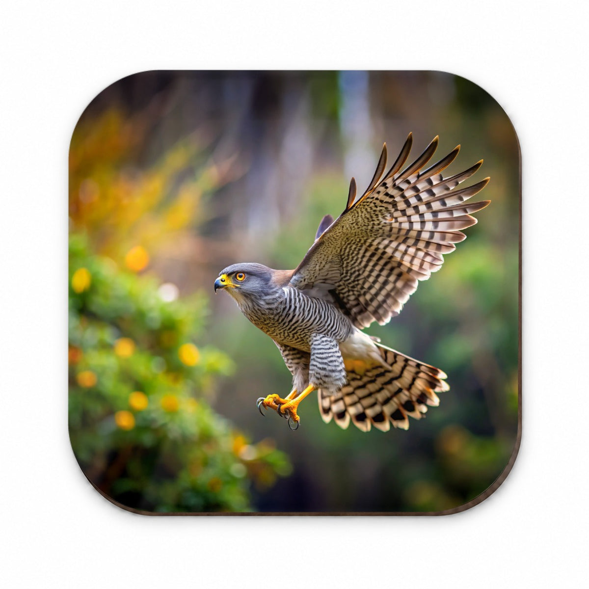 Goshawk Flying Raptor Bird Of Prey Fridge Magnet