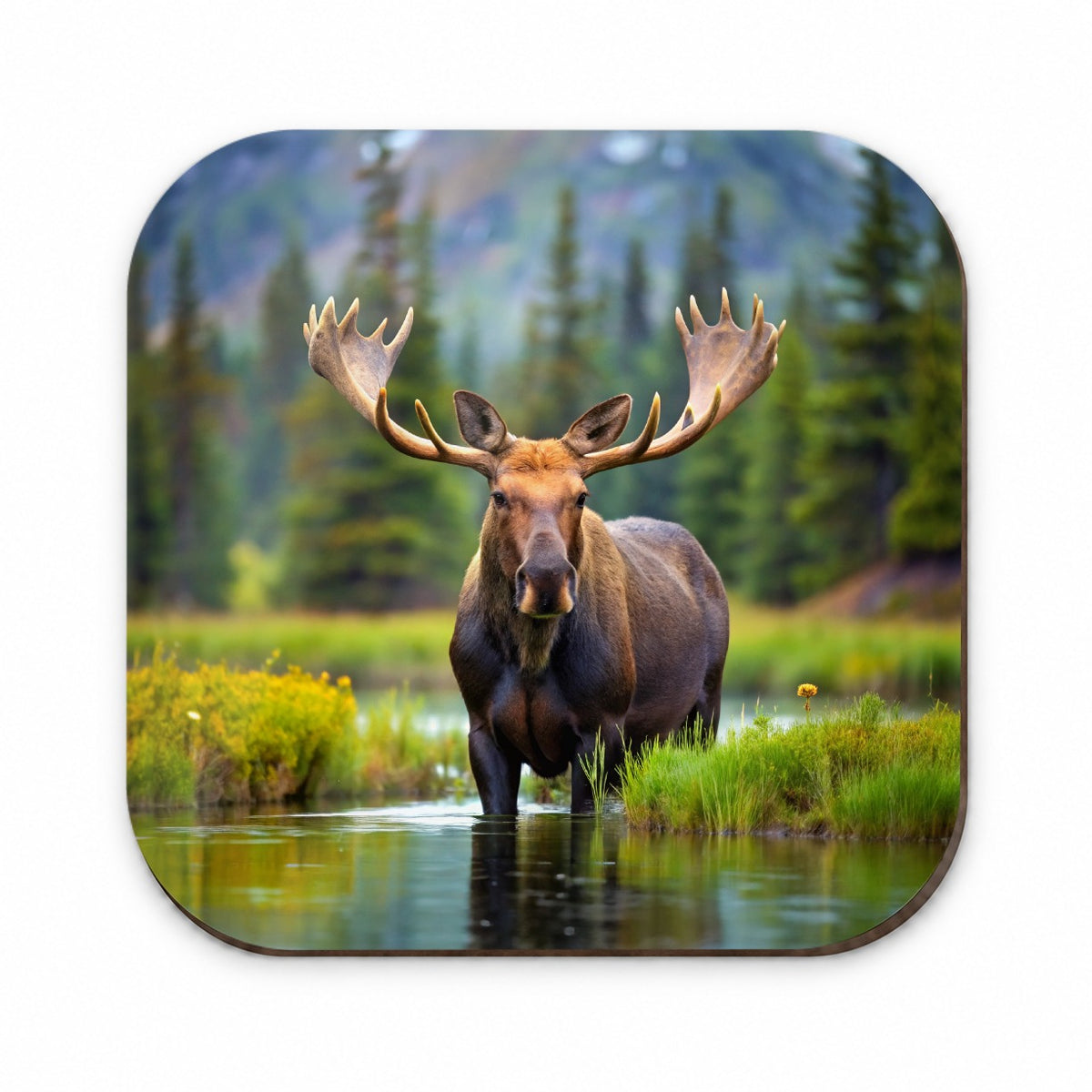 Moose Fridge Magnet