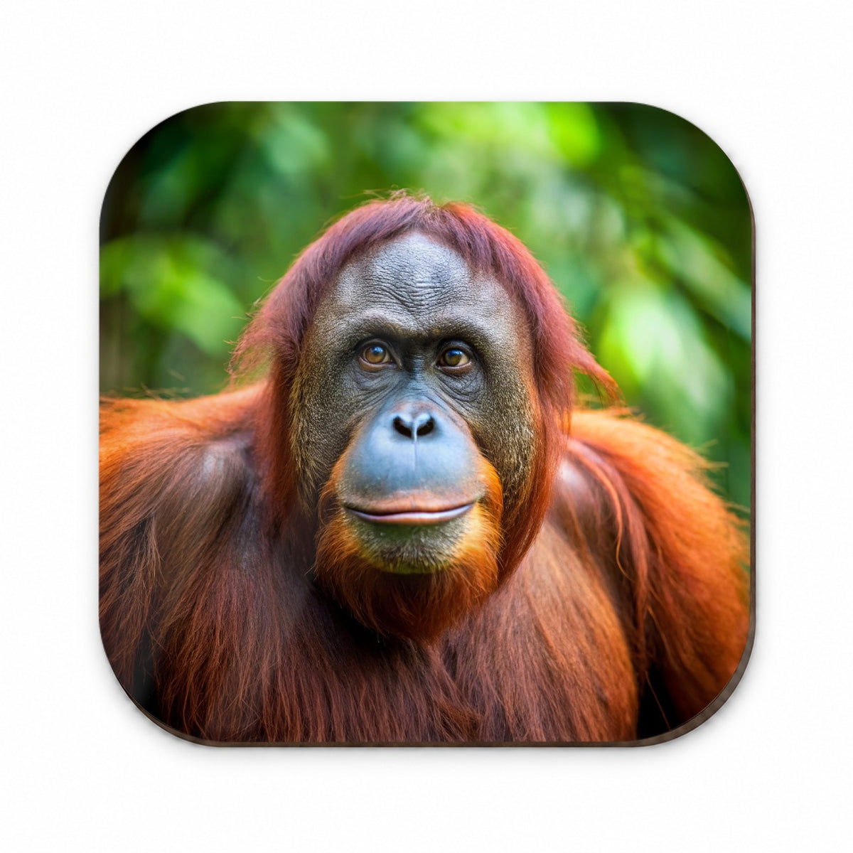 Orangutan Monkey Ape Fridge Magnet