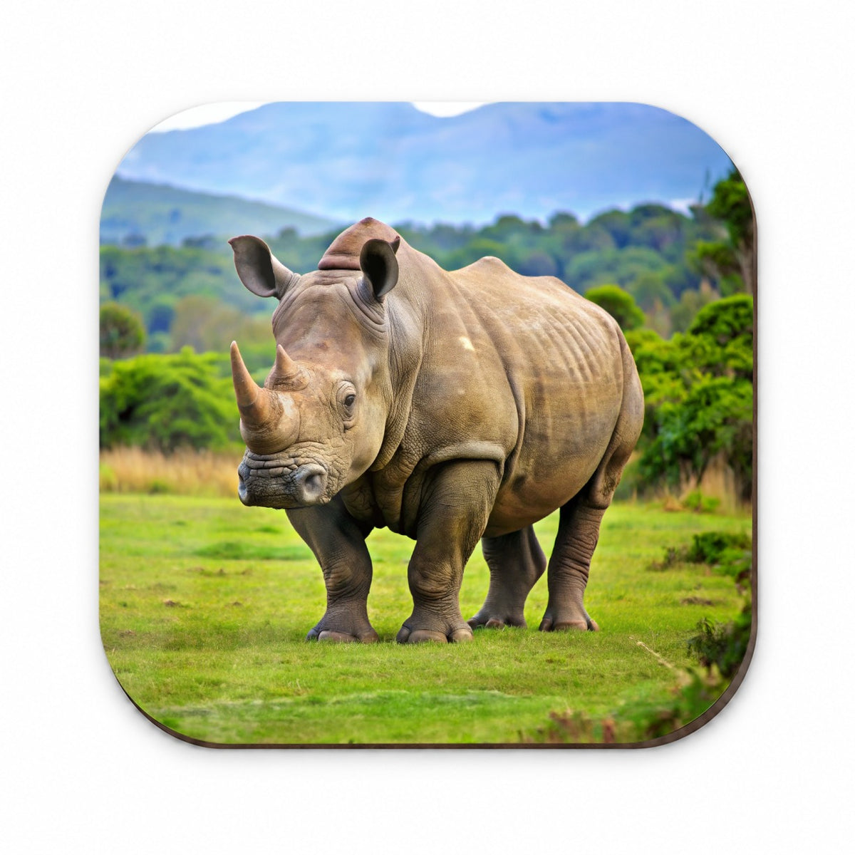 Rhinoceros Fridge Magnet