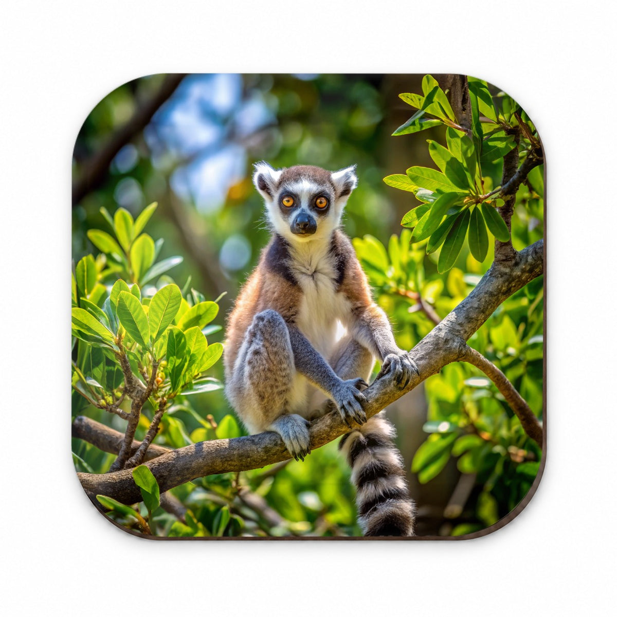 Ring-Tailed Lemur In Tree Fridge Magnet